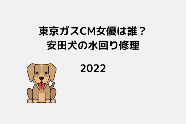 東京ガスcm女優 女性 は誰 しゅ しゅ 修理の東京ガス22 スッキリさん